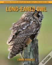 Long-Eared Owl