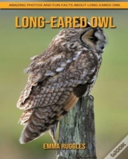 Capa do artigo Long-Eared Owl