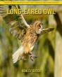 Long-Eared Owl - Preview