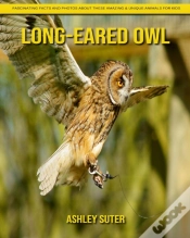 Capa do artigo Long-Eared Owl