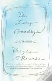 Capa do artigo Long Goodbye