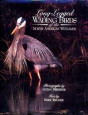 Long-Legged Wading Birds Of The North American Wetlands - Preview