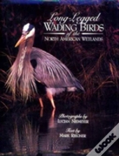 Long-Legged Wading Birds Of The North American Wetlands