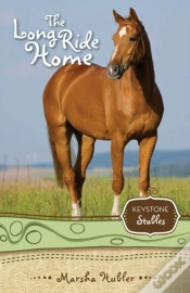 Capa do artigo Long Ride Home
