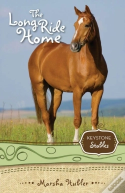 Capa do artigo Long Ride Home