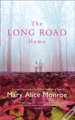 Capa do artigo Long Road Home