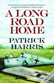 Capa do artigo Long Road Home