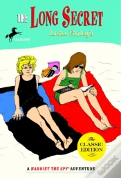 Capa do artigo Long Secret