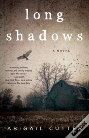Capa do artigo Long Shadows