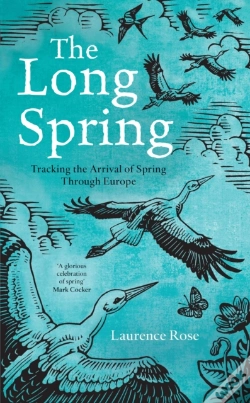 Capa do artigo Long Spring