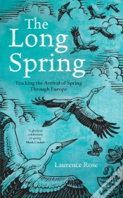 Capa do artigo Long Spring