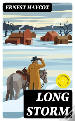 Capa do artigo Long Storm