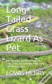 Long-Tailed Grass Lizard As Pet