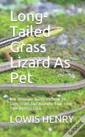 Capa do artigo Long-Tailed Grass Lizard As Pet