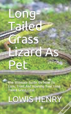 Capa do artigo Long-Tailed Grass Lizard As Pet