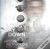 Capa do artigo Long Way Down