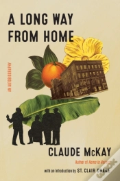Capa do artigo Long Way From Home