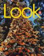 Look 1 - Preview