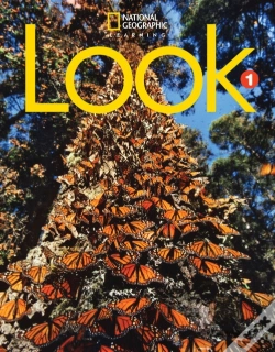 Capa do artigo Look 1: Workbook