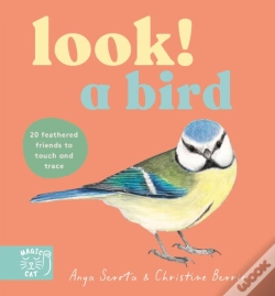 Capa do artigo Look! A Bird!