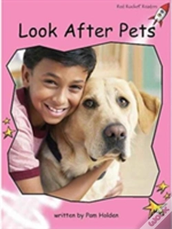Capa do artigo Look After Pets
