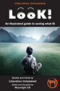 Look!- An Illustrated Guide To Seeing What Is