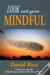 Capa do artigo Look And Grow Mindful