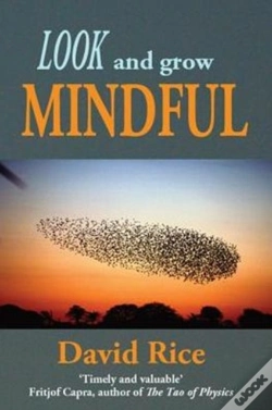 Capa do artigo Look And Grow Mindful