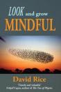 Look And Grow Mindful - Preview