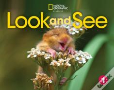Look And See 1