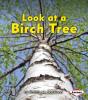 Look At A Birch Tree - Preview