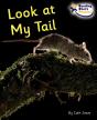 Look At My Tail - Preview
