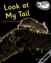 Capa do artigo Look At My Tail
