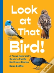 Capa do artigo Look At That Bird!