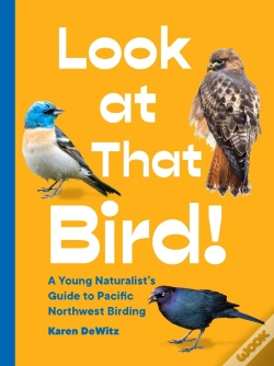 Capa do artigo Look At That Bird!