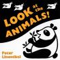 Look At The Animals - Preview