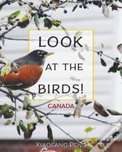 Look At The Birds!