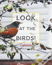 Look At The Birds!