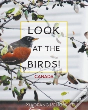 Capa do artigo Look At The Birds!