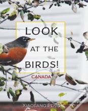 Look At The Birds!