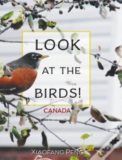Capa do artigo Look At The Birds!