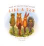 Look At The Boy That Looks Like A Fox - Preview