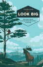 Look Big - Preview