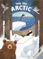 Look Closer Into The Arctic