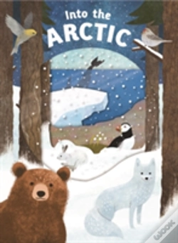 Capa do artigo Look Closer Into The Arctic