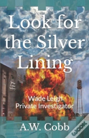 Capa do artigo Look For The Silver Lining