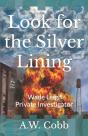 Look For The Silver Lining - Preview