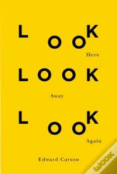 Look Here Look Away Look Again