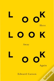 Capa do artigo Look Here Look Away Look Again