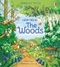 Look Inside The Woods - Preview